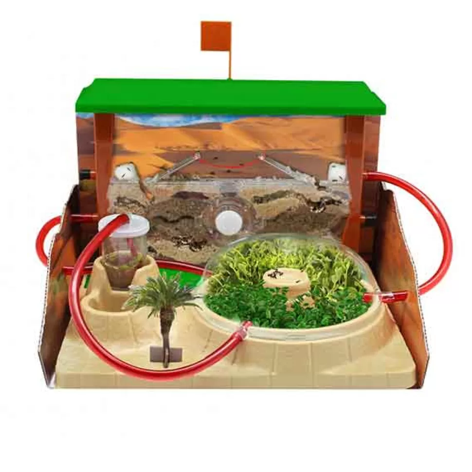 Brinquedos Cefa Hormicefa Plus< Brinquedos Científicos