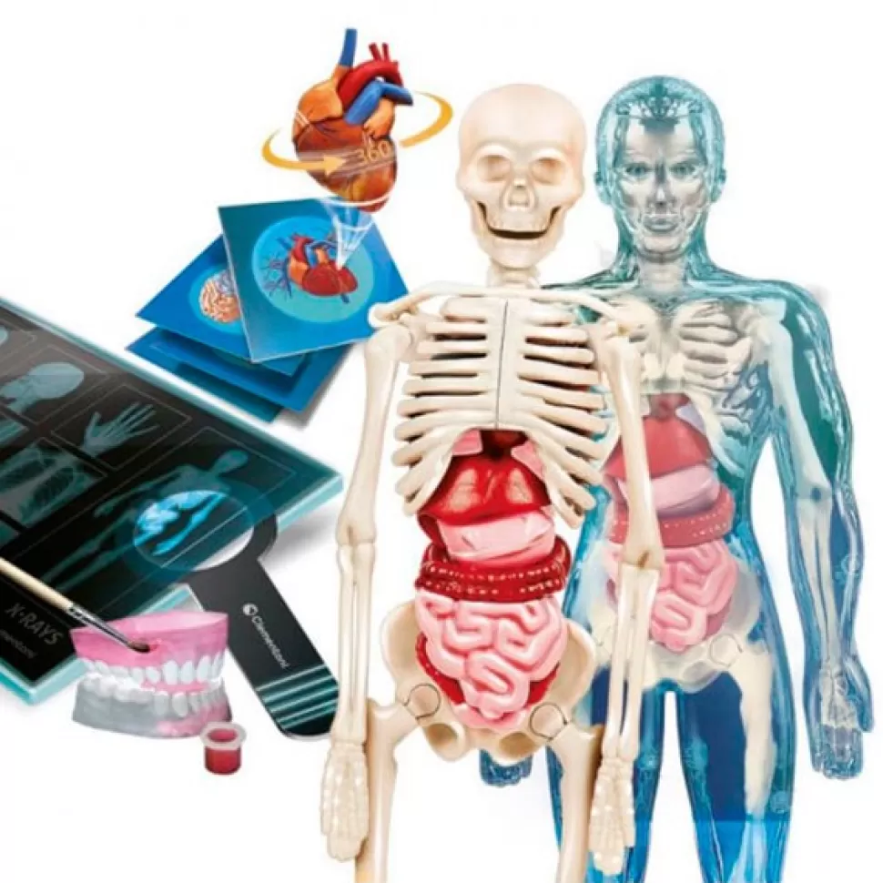 Brinquedos Clementoni Jogo Superanatomia< Brinquedos Científicos