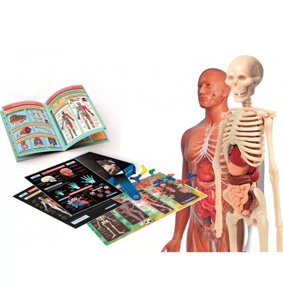 Brinquedos Clementoni Laboratorio De Anatomia< Brinquedos Científicos