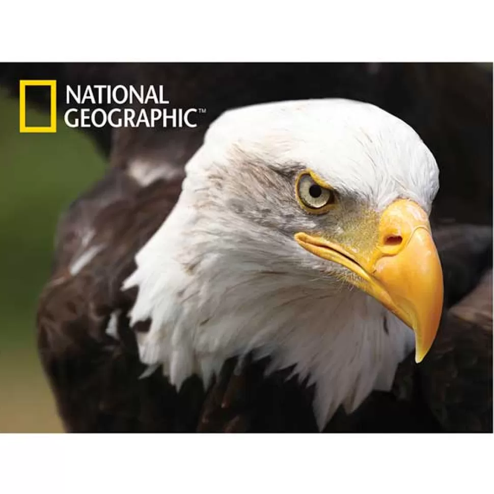 Best Brinquedos National Geographic National Geographic Prime 3D Puzzle 500P Aguia