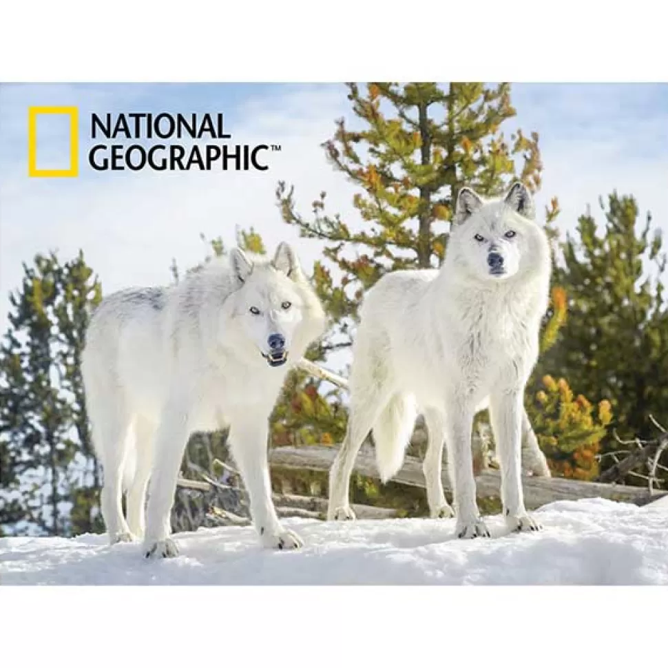 Outlet Brinquedos National Geographic National Geographic Prime 3D Puzzle 500P Lobos