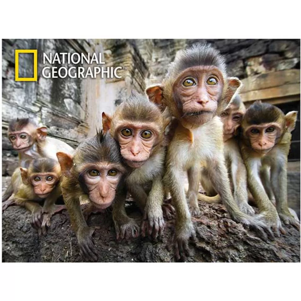 Discount Brinquedos National Geographic National Geographic Prime 3D Puzzle 500P Macacos