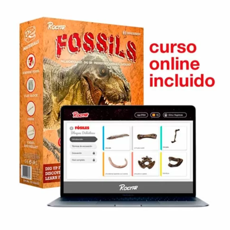 Brinquedos National Geographic Paleontology Geology Kit Fossils< Brinquedos Científicos