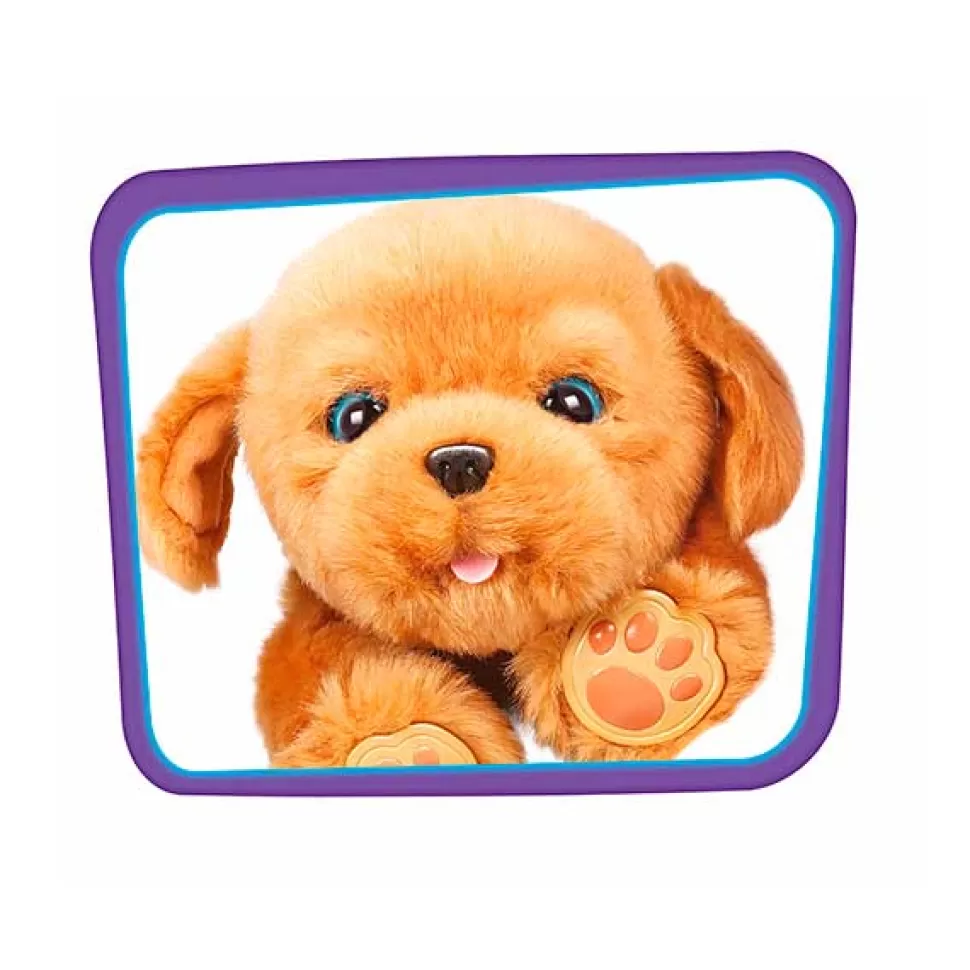 Best Sale Brinquedos Little Live Pets Perrito Sleepy Puppy Little Live Pets