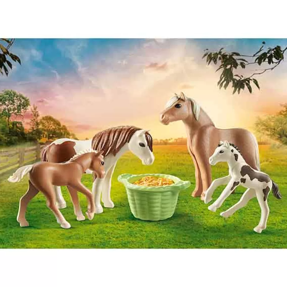 Brinquedos Playmobil Country Playmobil 71000 2 Poneis Islandeses Com Potro< Brinquedos De Cavalos