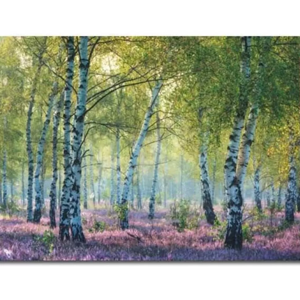 New Brinquedos Ravensburger Puzzle 1000P Birch Forest