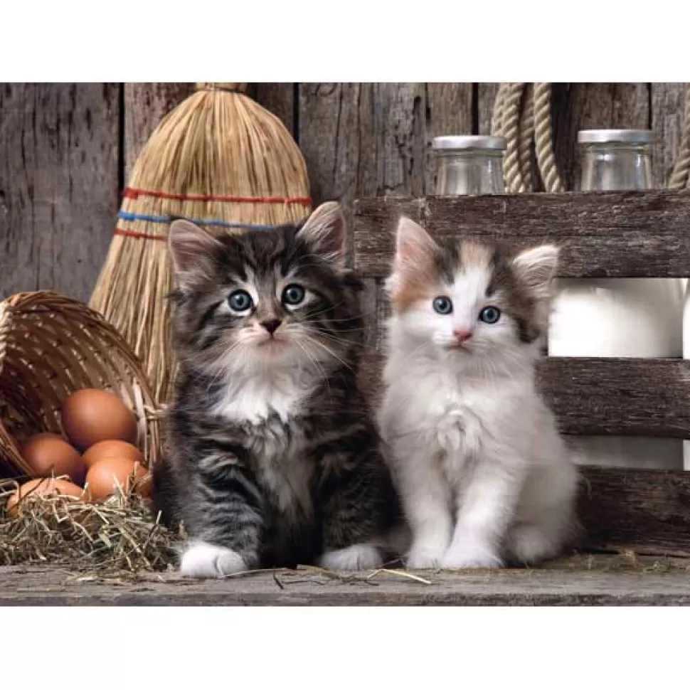 Best Brinquedos Clementoni Puzzle 1000P Lovely Kittens