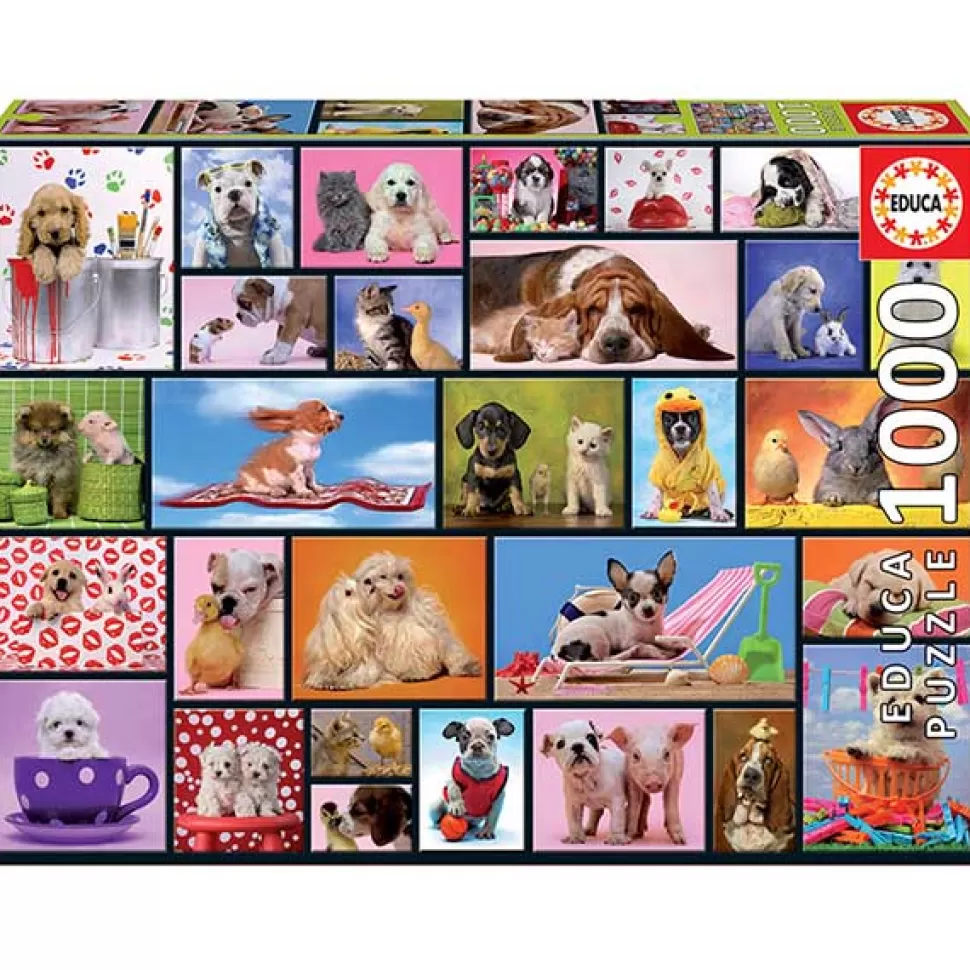 Best Brinquedos Educa Borras Puzzle 1000P Momentos Compartilhados
