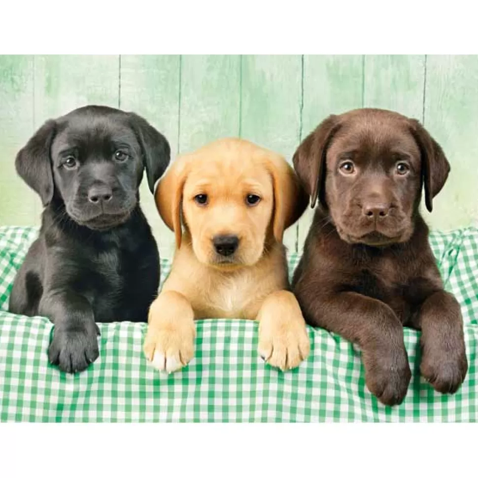 Fashion Brinquedos Clementoni Puzzle 1000P Tres Labradores