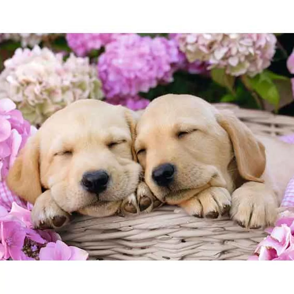 Cheap Brinquedos Ravensburger Puzzle 300P Xxl Dreaming Dogs