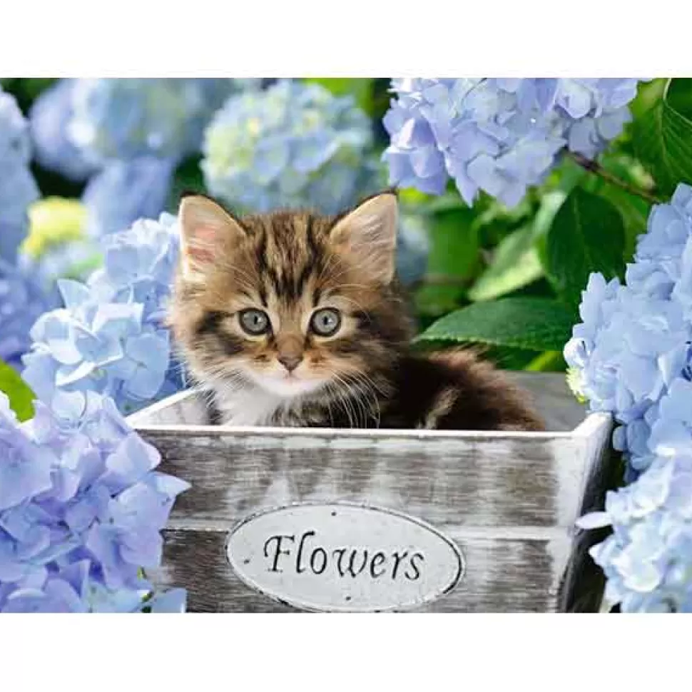 Cheap Brinquedos Ravensburger Puzzle 300P Xxl Kitten